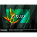 Toshiba 65QF5D53DB, 65 inch, Fire QLED TV The Outlet Store