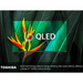 Toshiba 65QF5D53DB, 65 inch, Fire QLED TV TOSHIBA