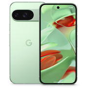 GOOGLE PIXEL 9 256GB WINTERGREEN + CHARGER 45W Google