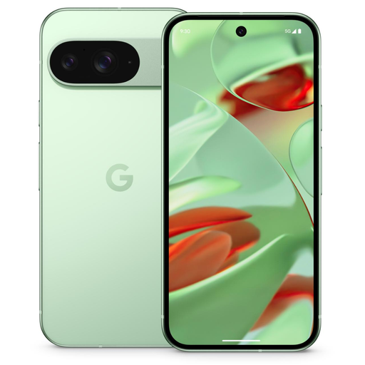 GOOGLE PIXEL 9 256GB WINTERGREEN + CHARGER 45W Google