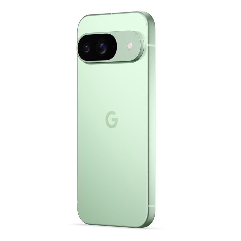 GOOGLE PIXEL 9 256GB WINTERGREEN + CHARGER 45W Google