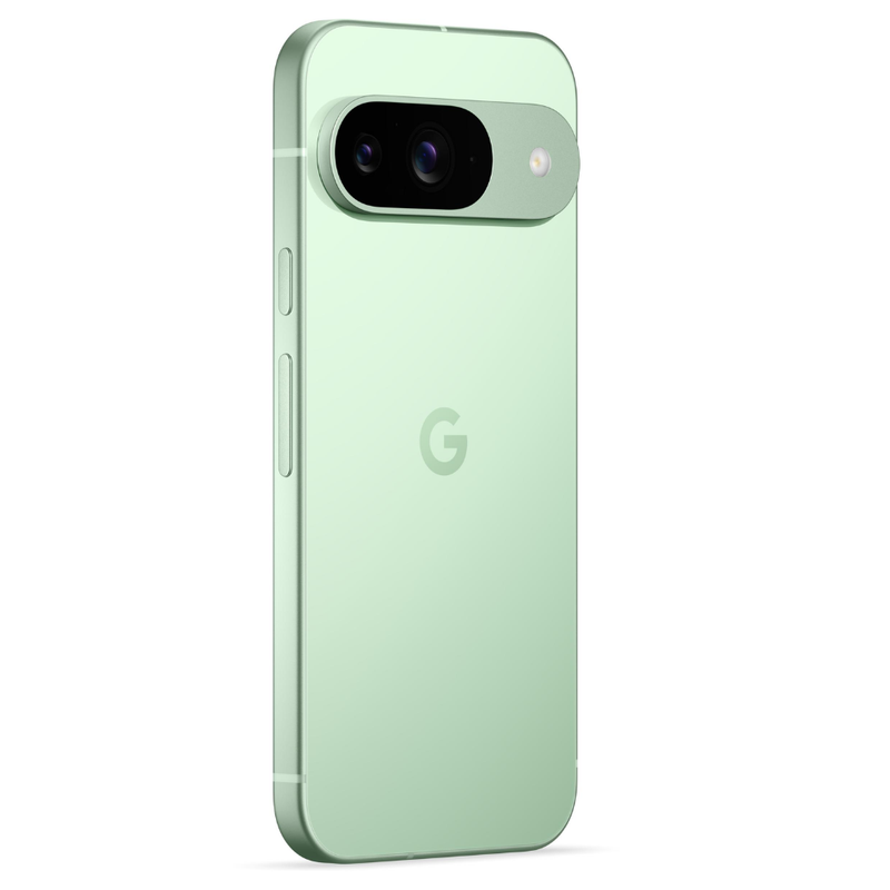 GOOGLE PIXEL 9 256GB WINTERGREEN + CHARGER 45W Google
