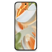 GOOGLE PIXEL 9 PRO 256GB PORCELAIN PIXEL CHARGER Google