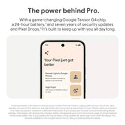 Google Pixel 9 Pro XL Digiland Outlet Store