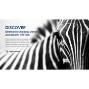 Hisense 40A4KTUK 40-inch Full HD Smart TV Digiland Outlet Store