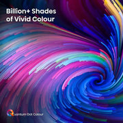 Hisense 65U6KQTUK 65 Inch Mini LED 4K UHD Smart TV Digiland Outlet Store