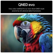 LG 65QNED87A6B 65 Inch Smart 4K UHD HDR QNED TV Digiland Outlet Store