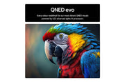 65 Inch LG QNED evo AI QNED93 MiniLED 4K Smart TV - 65QNED93A6A.AEKQ LG