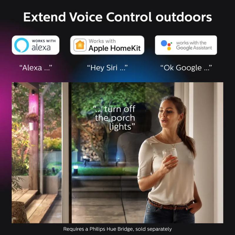 Philips 40W Lily Base and Ext.