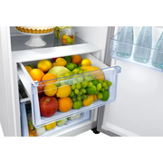 SAMSUNG RR39M7515WW , Freestanding refrigerator Digiland Outlet Store