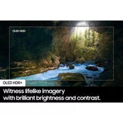 SAMSUNG QE65S90D 65 inch OLED 4K HDR Smart TV Digiland Outlet Store