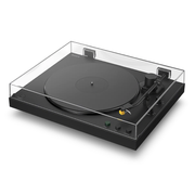 SONY WL BLT TRNTBLE AUTPLYBK PREMCRDG&STY Sony