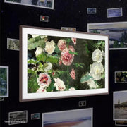 Samsung QE65LS03BGU 65 Inch  The Frame Smart QLED TV Digiland Outlet Store