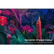 Samsung UE85CU8000 85 Inch Smart 4K UHD HDR LED TV Digiland Outlet Store