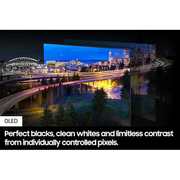 Samsung QE77S85D 77 inch OLED 4K HDR Smart TV Digiland Outlet Store