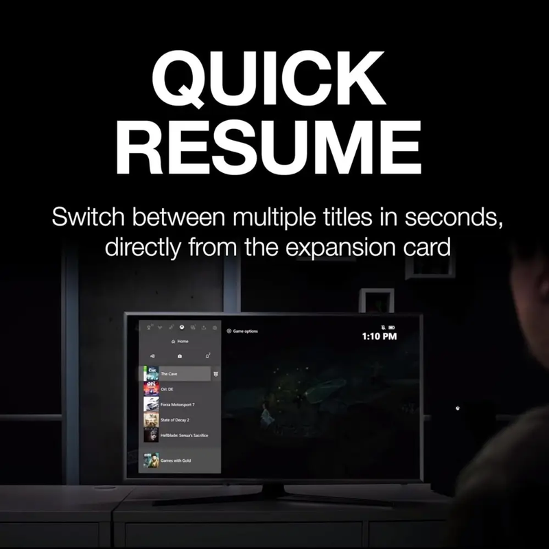 Seagate Storage Expansion Card for Xbox Series X,S in 1TB STJR1000400