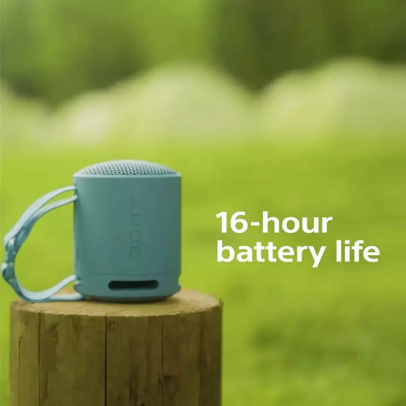 Sony SRS-XB100 Bluetooth Portable Speaker Digiland Outlet Store