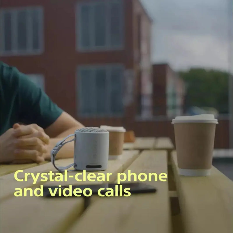 Sony SRS-XB100 Bluetooth Portable Speaker Digiland Outlet Store