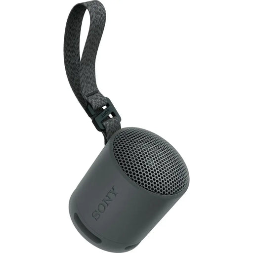 Sony SRS-XB100 Bluetooth Portable Speaker Digiland Outlet Store