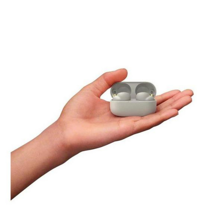 Sony WF-1000XM4 True Wireless Noise-Cancelling Headphones Digiland Outlet Store