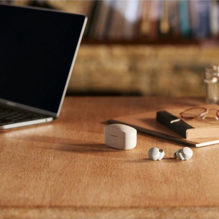 Sony WF-1000XM4 True Wireless Noise-Cancelling Headphones Digiland Outlet Store