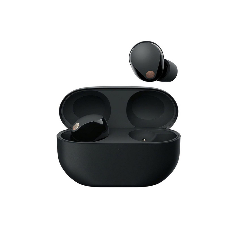 Sony WF-1000XM5 Wireless Noise Cancelling Earbuds Digiland Outlet Store