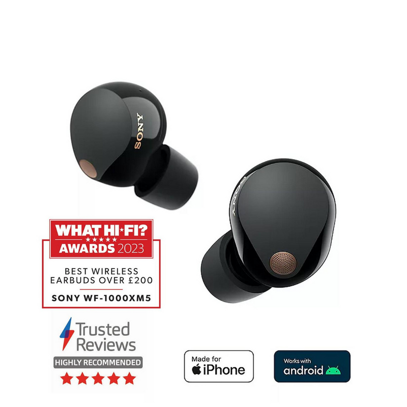 Sony WF-1000XM5 Wireless Noise Cancelling Earbuds Digiland Outlet Store