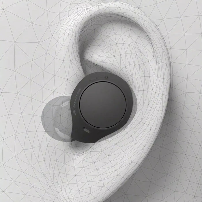 Sony WF-C510 Earbuds Digiland Outlet Store
