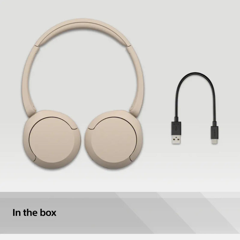 Sony WH-CH520 Wireless Bluetooth Headphones