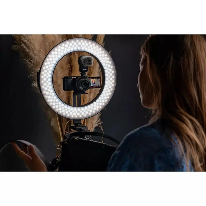 Sony ZV-E10 Mirrorless Vlogging Camera - Body Only Digiland Outlet Store