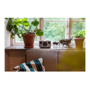 T3+ Wireless Bluetooth Portable Speaker Digiland Outlet Store