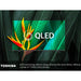 Toshiba 50QF5D53DB, 50 inch, Fire QLED TV Digiland Outlet Store