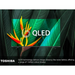 Toshiba 65QF5D53DB, 65 inch, Fire QLED TV Digiland Outlet Store